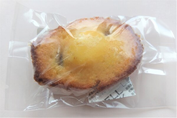 【地域連携プロジェクト】ブルウメ（Blueume）が完成しました