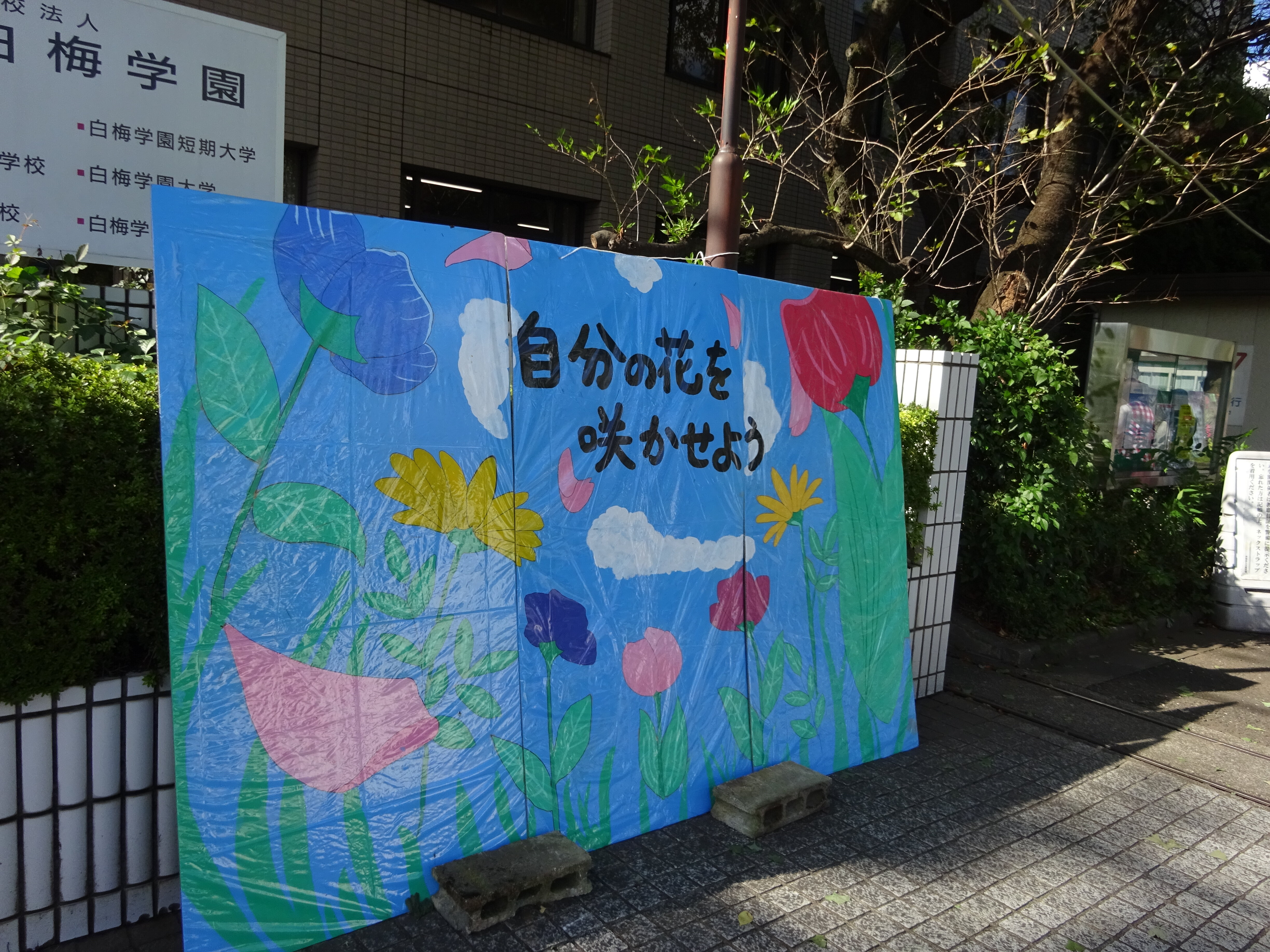 白梅祭2024が開催されました（10月19日・20日）