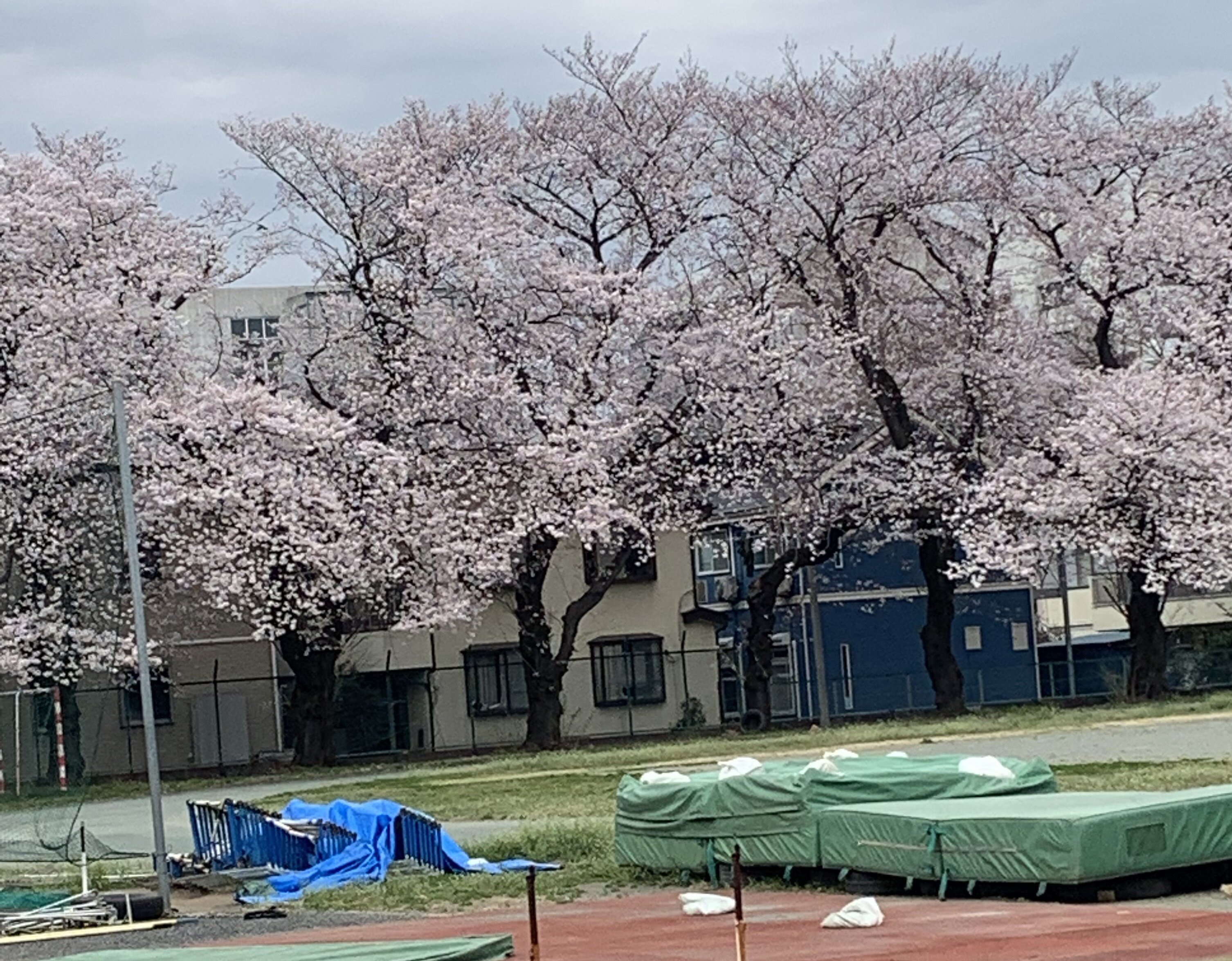 佐藤 文