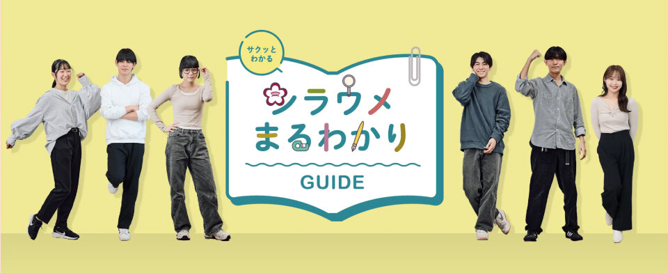 シラウメまるわかり